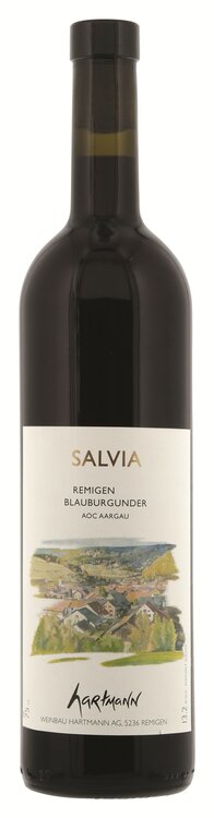 Salvia Blauburgunder Weinbau Hartmann Remigen AOC