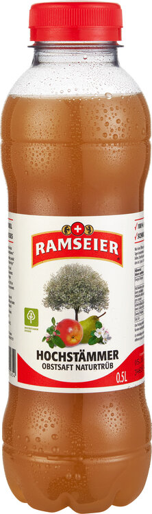 Ramseier Hochstämmer 50 cl PET 6-Pack