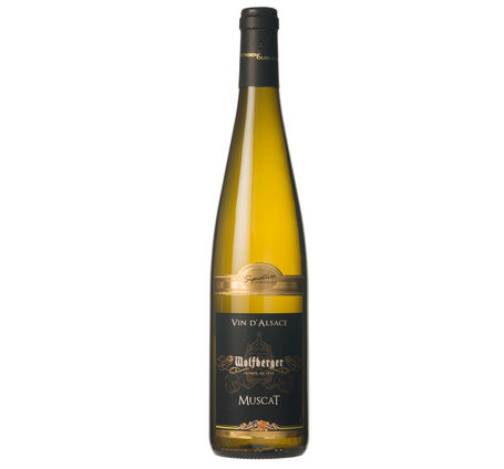 Muscat d'Alsace AC Wolfberger Eguisheim