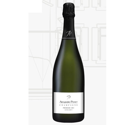 Champagne Alexandre Penet Millésime Extra Brut La Maison Penet Verzy