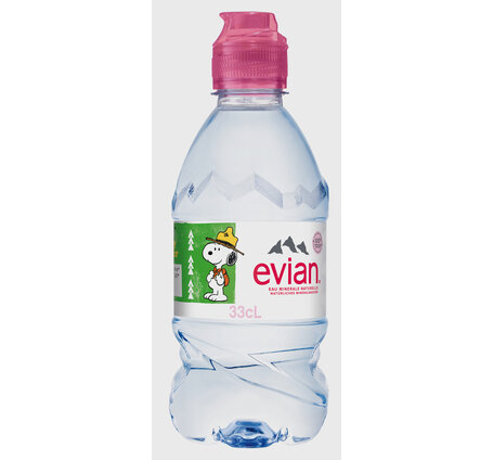 Evian 33 cl EW-PET 12-Pack Flipcap (ausverkauft, kein neuer Liefertermin)