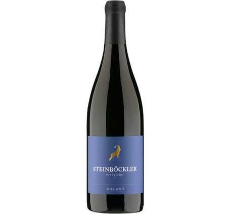 Steinböckler Blauburgunder Malans AOC